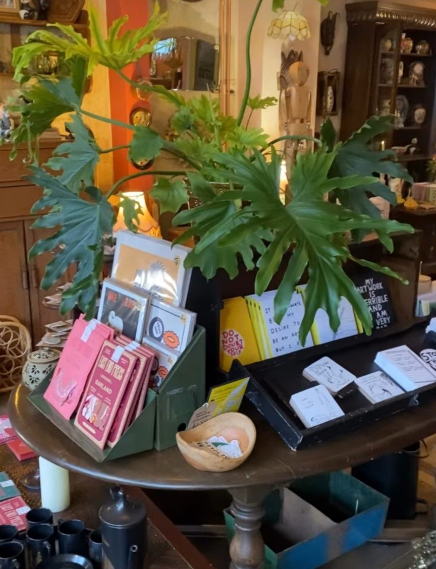 Inside the shop — terracotta walls, tulips, candles and eclectic ceramics