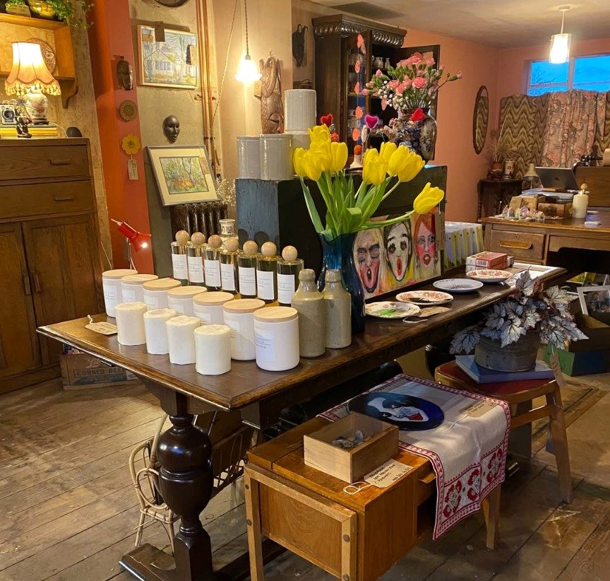 Plants, zines and prints on a wooden table